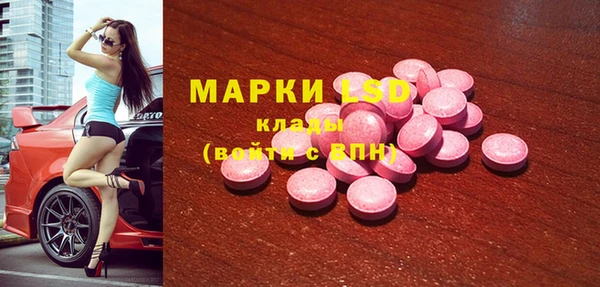 spice Алзамай