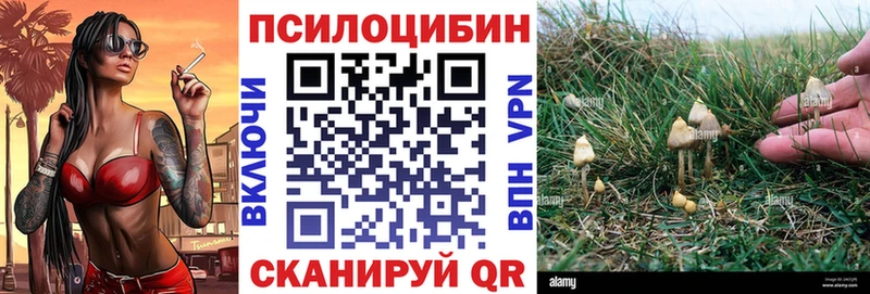 хочу наркоту  Анжеро-Судженск  Псилоцибиновые грибы мицелий 